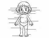 Body Coloring Coloringcrew Front Human sketch template