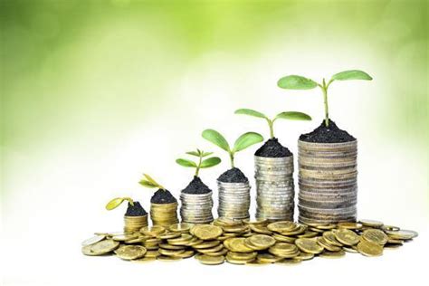 top mutual fund schemes  invest  livemint