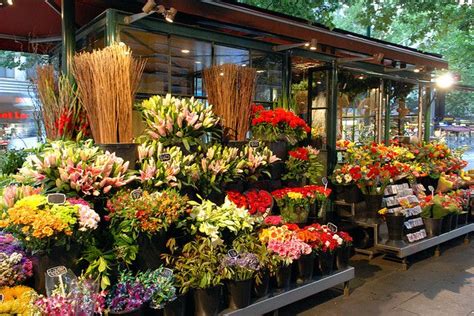flower shop flower shop  flower shop flower business