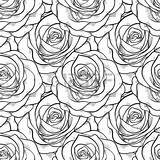 Roses Drawing Coloring Rose Pages Flower Line Seamless Contours Pattern Beautiful 123rf Trendy Getdrawings Flowers Color sketch template