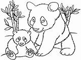 Colorare Panda Disegni Scaricare Atuttodonna sketch template