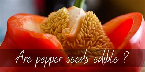 pepper seeds edible      foodiosity