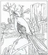 Kleurplaat Natuur Spotvogel Ums Rund Coloring Nature Malvorlagen 1442 Malvorlage Downloaden Uitprinten Vriend Malvorlagen1001 sketch template