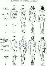 Proportions Human Figure Drawing Draw Body человека Sketches пропорции рисовать Correct Anatomy Male Reference Drawings Drawinghowtodraw Step как тело Tutorial sketch template
