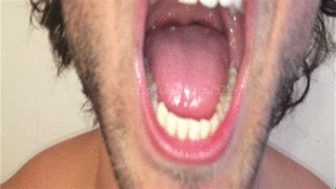 Holliwould 24 7 Chris Valentinos Mouth Part2 Video3 Mp4
