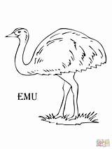 Emu Resultado Niños Ana Hernando Supercoloring Aborigine sketch template