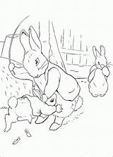 Rabbit Coloriages sketch template