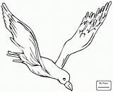 Seagull Drawing Flying Coloring Gull California Pages Getdrawings sketch template