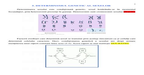 5 Determinismul Genetic Si Cromozomal Al Sexelor