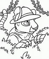 Coloring Pages Neopets sketch template