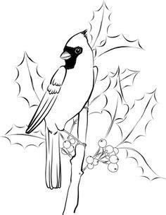 template  winter bird art lesson januarywinter pinterest