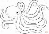 Coloring Octopus Pages Printable Cartoon Print sketch template