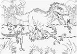 Jurassic Rex Indominus Kolorowanki Druku Raskrasil Raptor Wydruku sketch template