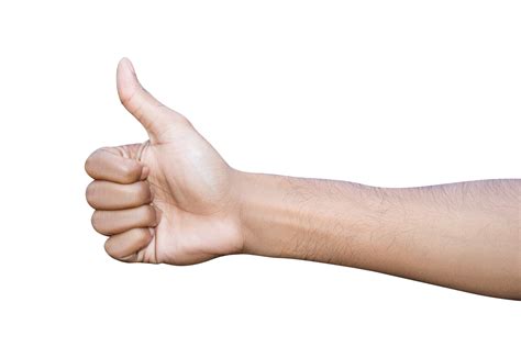 closeup  male hand showing thumbs  sign  white background  png