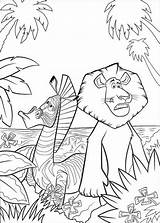 Madagascar Coloring Pages Marty sketch template