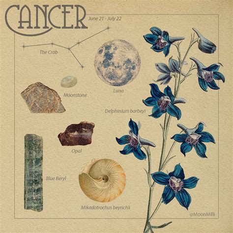 cancer vintage scientific style zodiac print in 2021 zodiac art