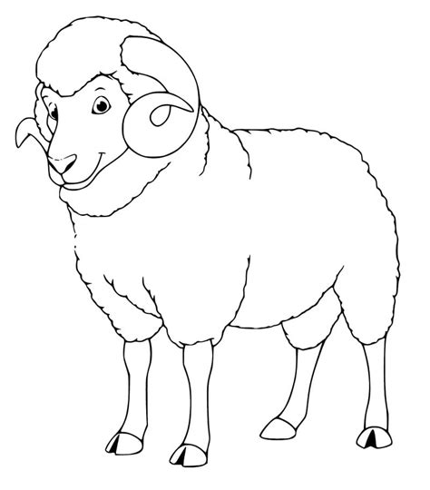 majestic ram coloring page  printable coloring pages  kids