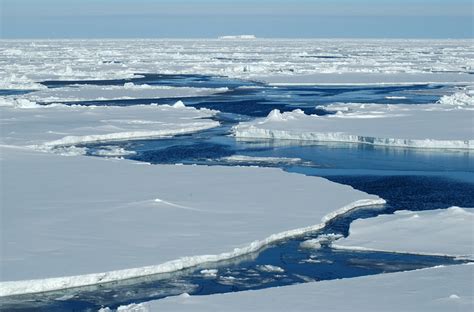 study shows   chance  antarctic ice shelves