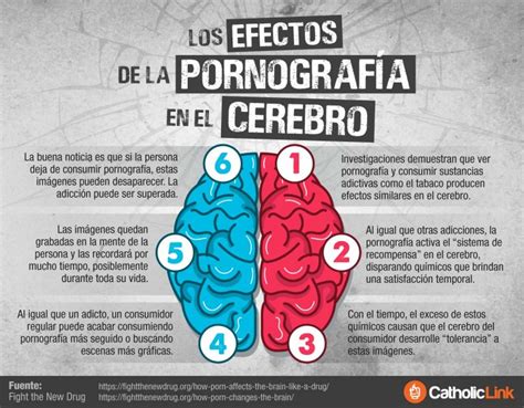 Infografía ¿cuáles Son Los Efectos De La Pornografía Catholic Link