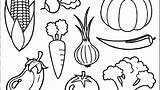Coloring Vegetables Fruits Vegetable Pages Printable Fruit Print Veggie Getdrawings Color Getcolorings Colorings sketch template