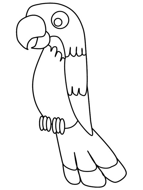birds parrot animals coloring pages coloring book  coloring pages