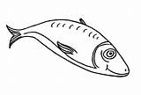 Fisch Ausmalbild Fische sketch template