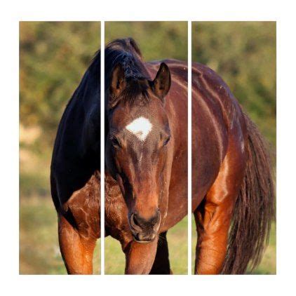 elegant brown broodmare triptych horse animal horses riding freedom elegant art elegant