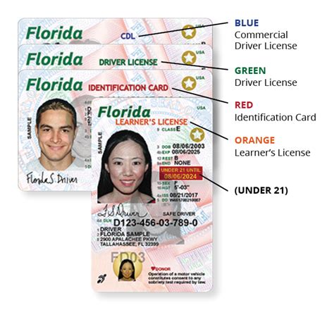 okaloosa   roll   florida drivers licenses wuwf