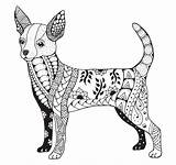 Chihuahua Zentangle Stylized sketch template