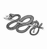 Snake Sword Vector Serpent Cobra Vintage Style Around Vectors sketch template