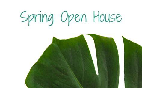 spring open house massage therapy joplin mo executive spa and massage