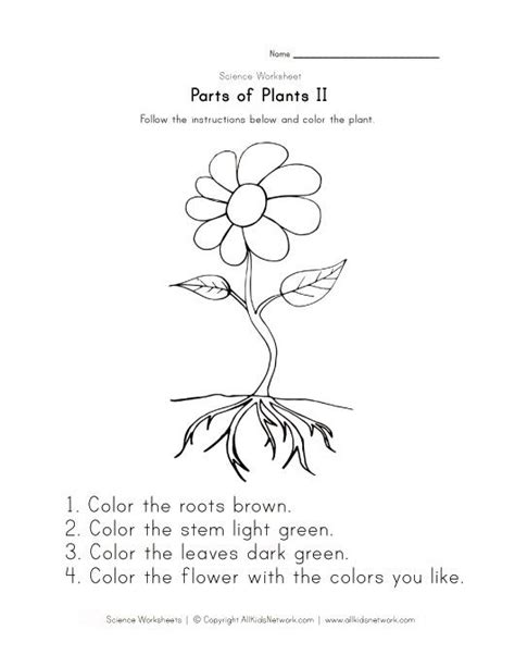 parts   plant worksheet kindergarten lesson plans kindergarten