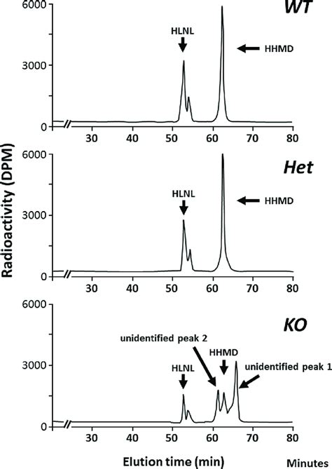 typical chromatographic patterns  collagen cross links   acid  scientific
