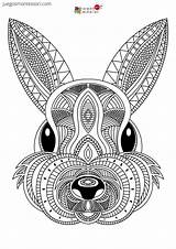 Mandalas Mandala Conejo Imprimible Oso Imprimibles sketch template