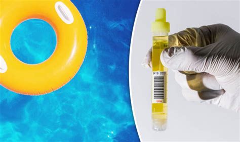 the amount of urine really floating in swimming pools revealed
