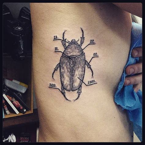 Little Tattoos — Scientific Illustration Of A Beetle Tattoo On The