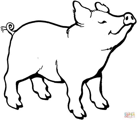 pig smells  coloring page  printable coloring pages