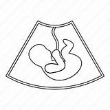 Womb Outline Mothers Pictogram Binnen Overzichtsstijl Ultrasound Fetus sketch template