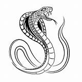 Slangen Kleurplaten Reptielen Leuk sketch template