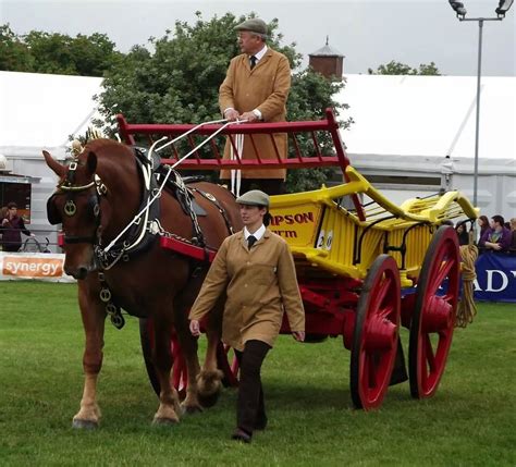 horse breeders  uk