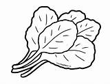 Greens Leafy Collard Lettuce Outline Drawings Drawingskill Foodhero Achieve Eggplant sketch template