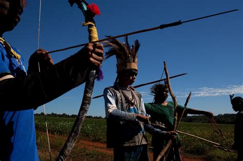 In Brazil Violence Hits Tribes In Scramble For Land The New York Times