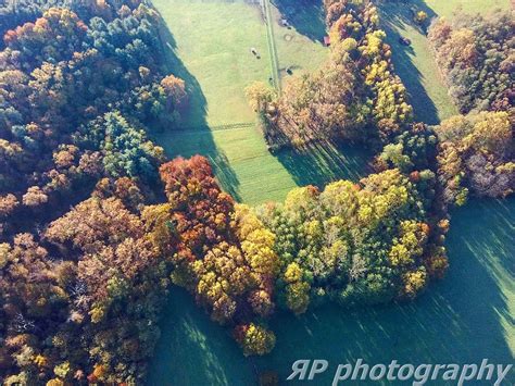 autumn aerial forest