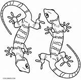 Lizard Gecko Eidechse Lagartija Geckos Cool2bkids Lagarto Realistic Malvorlagen Effortfulg Bestcoloringpagesforkids Printables Getcolorings Shimmer sketch template