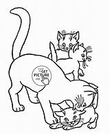 Coloring Cat Pages Kittens Kids Outline Wuppsy Animal Kitten Drawing Animals Printables Cats Template Popular sketch template
