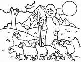Coloring Shepherd Sheep Jesus Good Pages Kids Shepherds Lost Am Australian Clipart Baby Drawing Printable Color Sheeps Print Visit Getcolorings sketch template