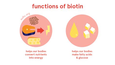 Biotin Foods Functions How Much Do You Need And More Eufic