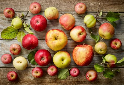 common apple varieties