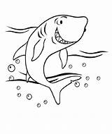 Sharks Coloring Kids Print Pages Simple Color sketch template