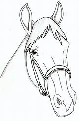 Horse Coloring Pages Head Face Getcolorings sketch template